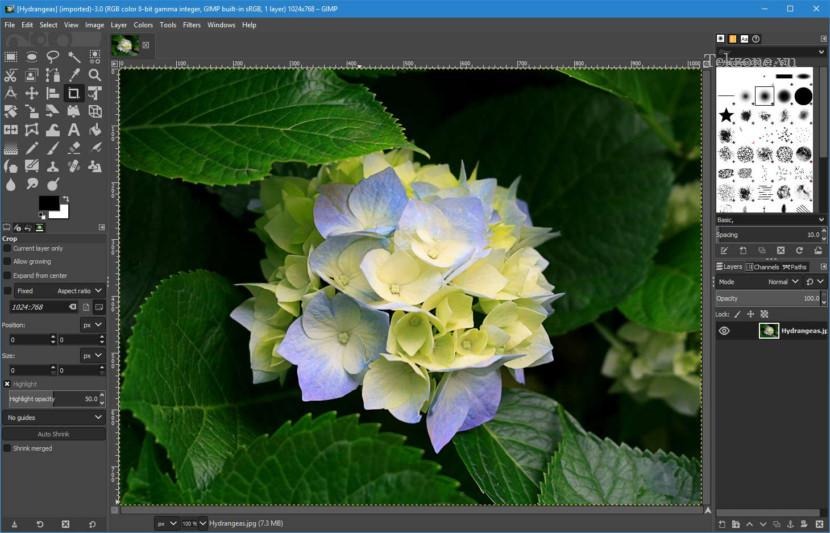 Top 10 Phần Mềm Chỉnh Sửa, Photoshop Ảnh Chuyên Nghiệp Pc Miễn Phí Và Trả  Phí - Tekzone.Vn